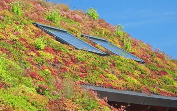 Little Ribston living roof systems