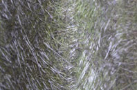 Little Ribston fibreglass roof work